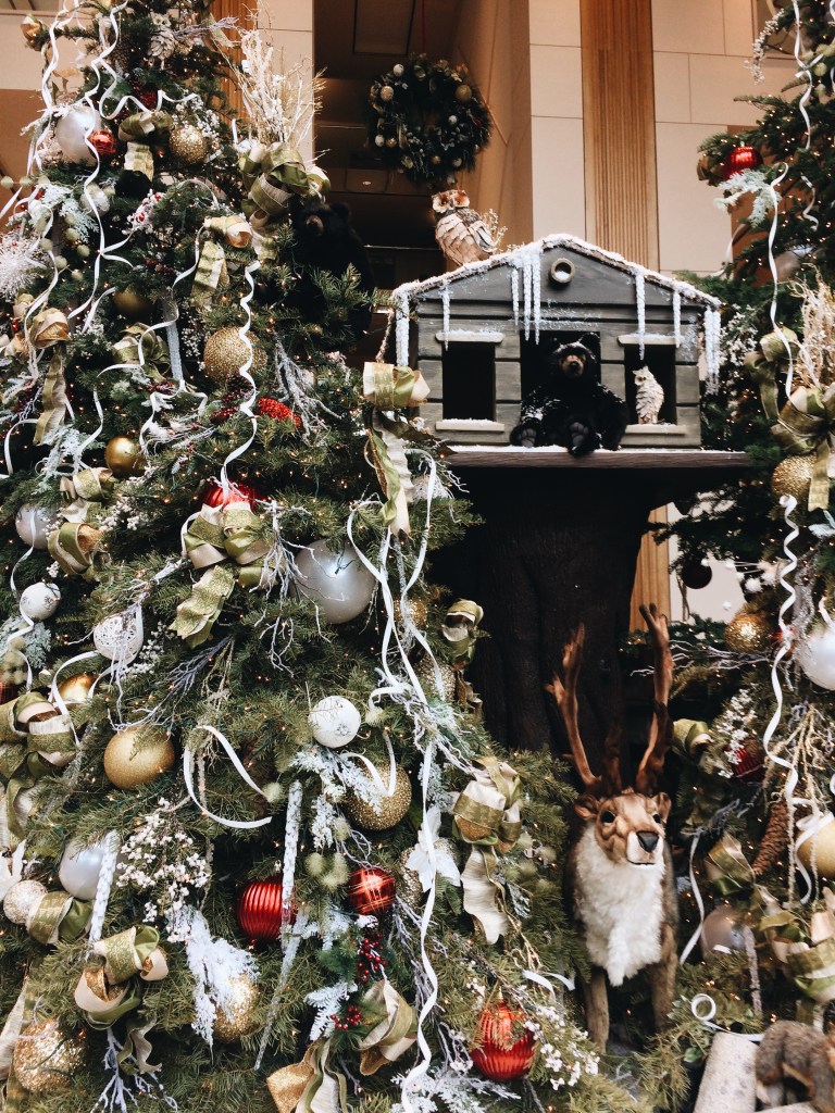Processed with VSCO with a6 preset