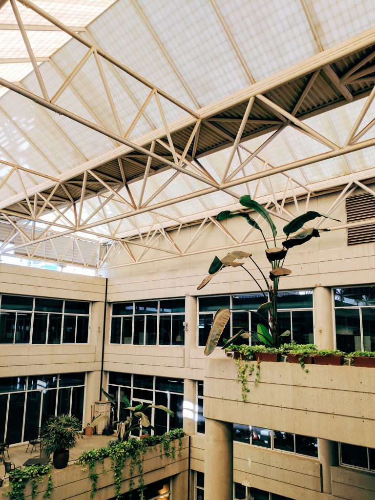 Processed with VSCO with e1 preset