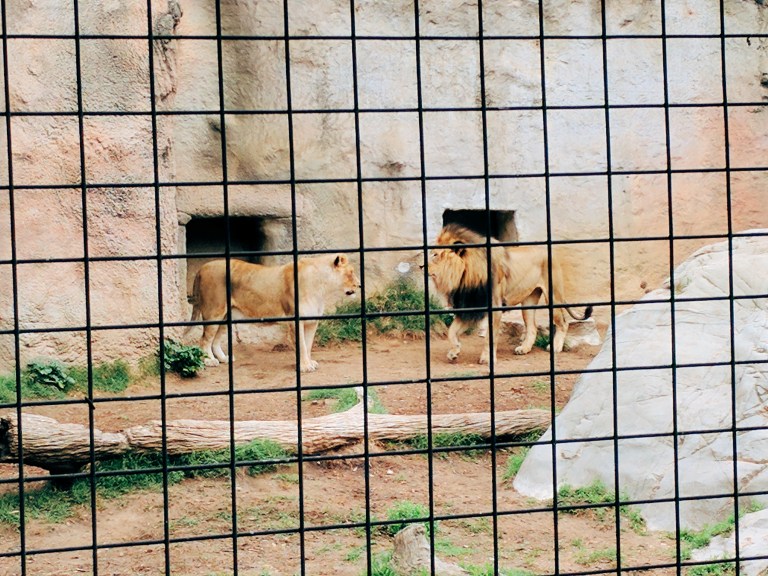 Processed with VSCO with e1 preset